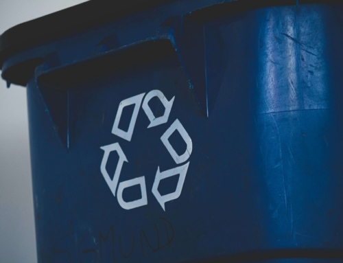 Ein nachhaltiger Beitrag für unsere Zukunft: Effizientes Recycling im Fokus